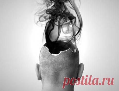 Человек достиг пика эволюции?