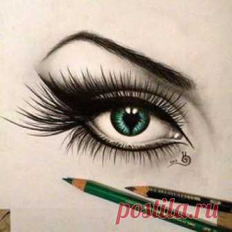 ♦♚♥ вυℓℓєт ♥♚♦