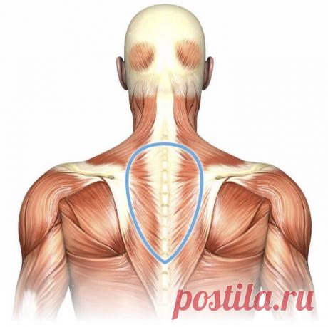 Вдовий горб: Как избавиться от холки