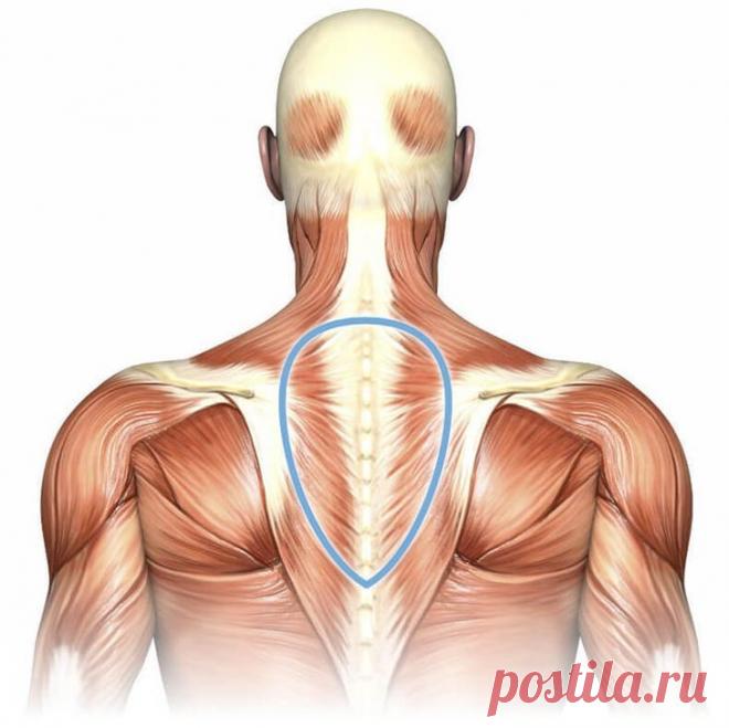Вдовий горб: Как избавиться от холки