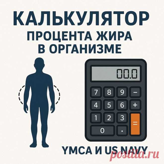 Калькулятор процента жира в организме (YMCA и US Navy)