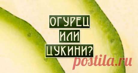 Сможете ли вы угадать, какая еда изображена на картинке?