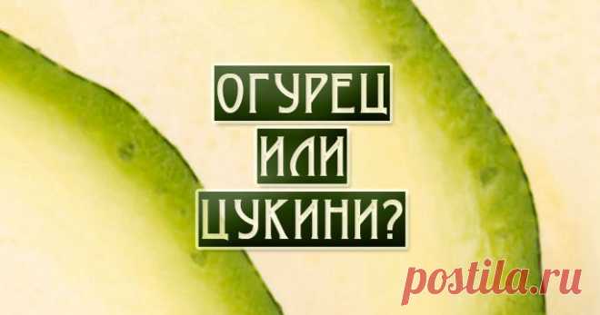Сможете ли вы угадать, какая еда изображена на картинке?
