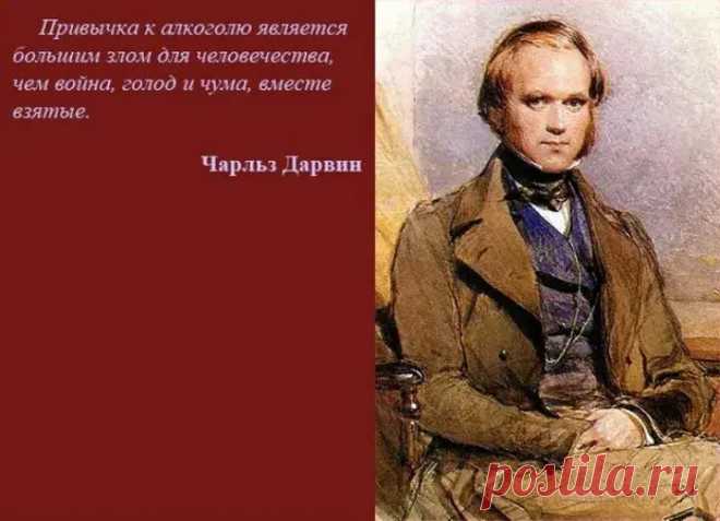 Вред алкоголя - Теософ