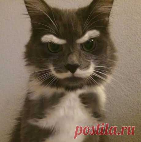 Да, что вы знаете о стиле?
