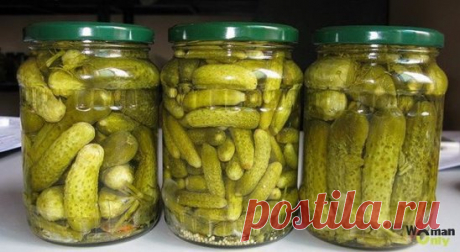 Консервирование огурцов холодной водой 
Законсервировать огурцы можно и на даче с использованием только холодной воды, такой способ консервации занимает намного меньше времени. Получаются огурцы хрустящими в меру солеными, так как чистая вода забирает лишнюю соль. Рассол с огурцов очень вкусен, его можно использовать для приготовления рассольника. Хранить огурцы, консервированные холодным способом, можно до трех лет в шкафу городской квартиры. В подробном рецепте указаны продукты для приготовле
