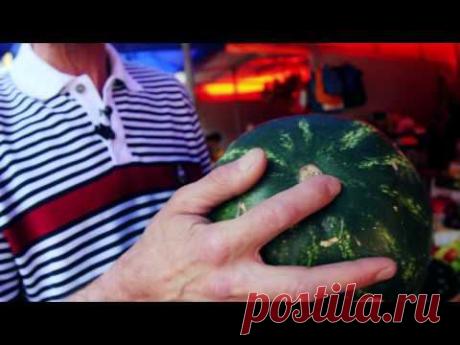 Как выбрать арбуз: простые советы | Продукты и напитки | Кухня | Аргументы и Факты