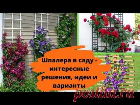 Шпалера в саду - интересные решения, идеи и варианты