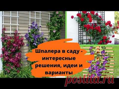 Шпалера в саду - интересные решения, идеи и варианты