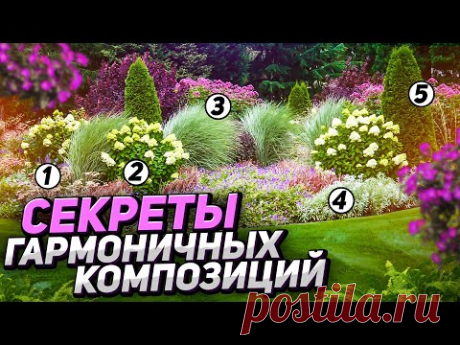 ХВОЙНЫЙ МИКСБОРДЕР: готовые схемы и фото для вдохновения