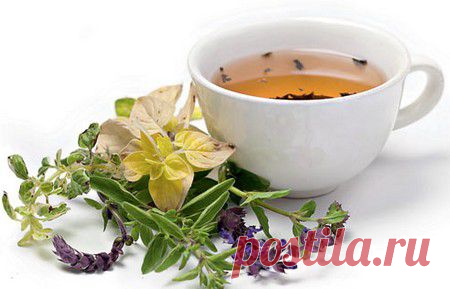Чаи от стресса - Женский портал Брюнеточка