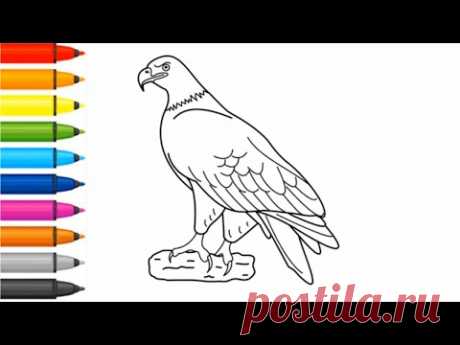Drawing , Coloring  - बच्चों के लिए ड्राइंग, रंग -  Рисование, раскраски