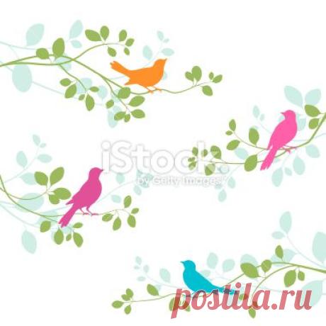 stock-illustration-16475891-birds-and-branches.jpg (380×380)