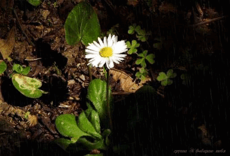 Мой Мир@Mail.Ru