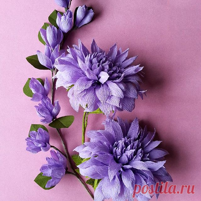 #paper #flowers #decoration