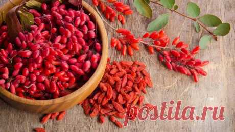 Меню для красоты и здоровья - Красота - Информационно - развлекательный портал.