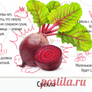 Выбираем вкусные и свежие овощи... Главное – знать! - МирТесен