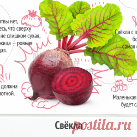 Выбираем вкусные и свежие овощи... Главное – знать! - МирТесен