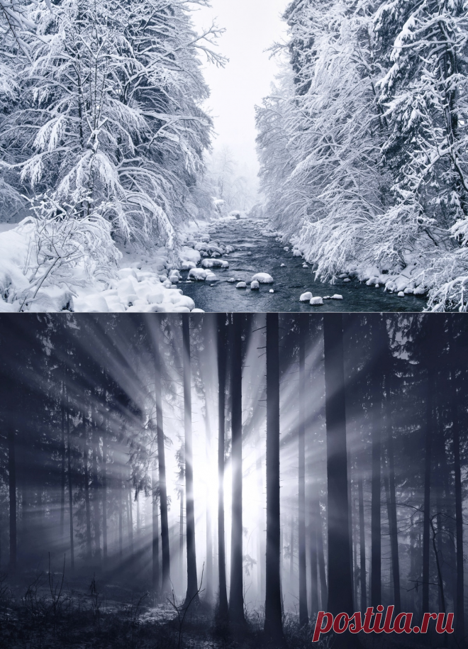 «Зимняя сказка»: пейзажные фотографии заснеженной природы