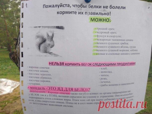 Полезное объявление