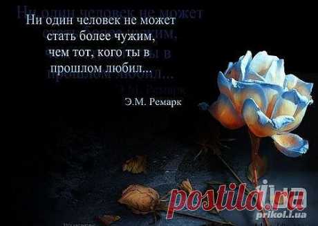 Фразы о жизни, жизнь, подборка 