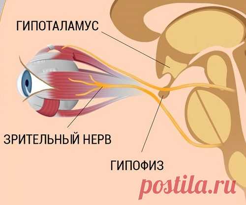8 шагов к улучшению и восстановлению зрения