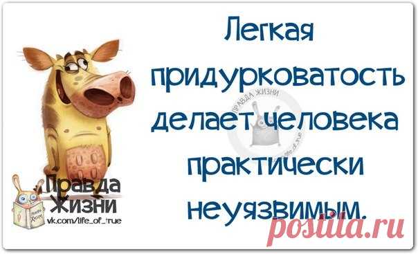 Новый пост метких фраз