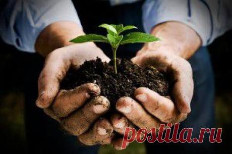 Шпаргалка для кухни. Сохраните, чтобы не забыть!