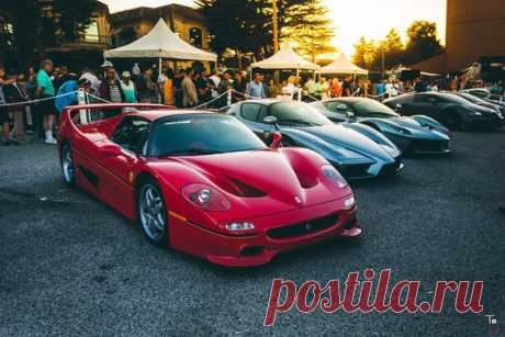 Ferrari F50 Ferrari Enzo Ferrari LaFerrari