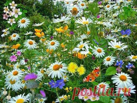 Мой Мир@Mail.Ru