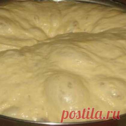 Итальянский орехово-шоколадный торт / Простые рецепты