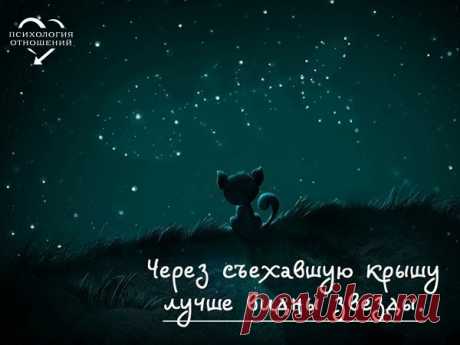 Фотографии на стене сообщества – 48 033 фотографии | ВКонтакте