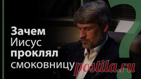 Зачем Иисус проклял смоковницу? Мк. 11:14