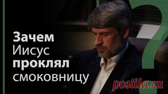Зачем Иисус проклял смоковницу? Мк. 11:14