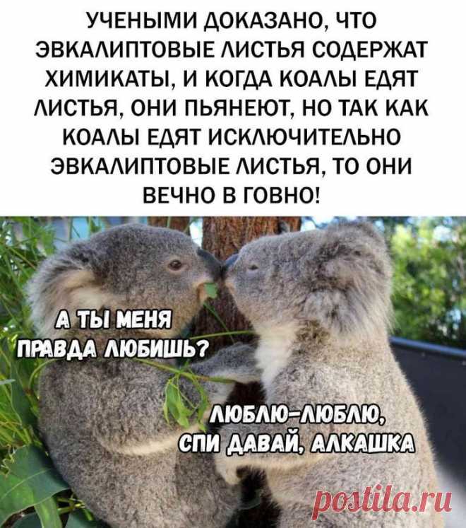 Приколисты