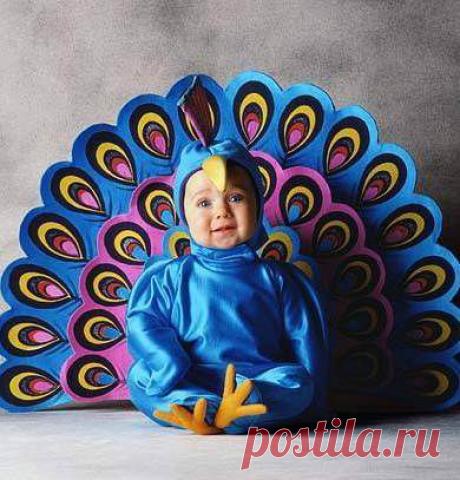 мода, красота, дизайн, фото