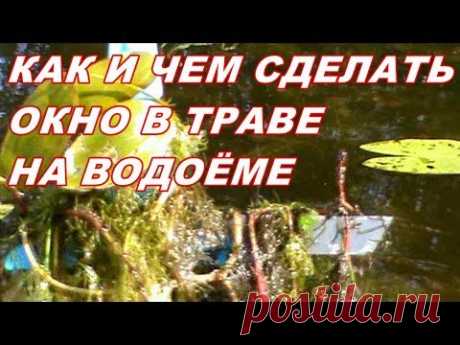 КАК И ЧЕМ СДЕЛАТЬ ОКНО В ТРАВЕ на водоёме ДЛЯ РЫБАЛКИ ! - YouTube