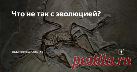 Что не так с эволюцией? Неужели Дарвин был неправ и от кого на самом деле произошел человек?