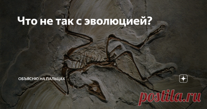 Что не так с эволюцией? Неужели Дарвин был неправ и от кого на самом деле произошел человек?