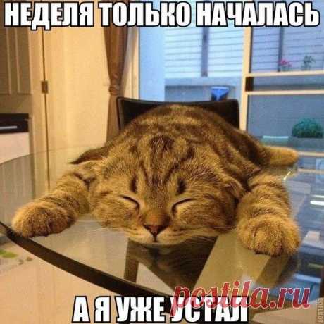 Чёрный юмор
