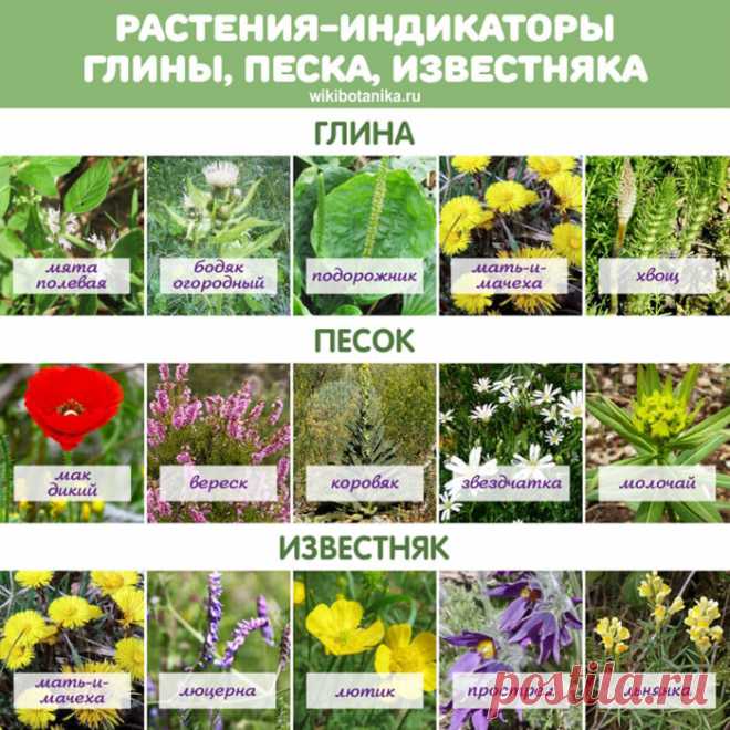 (2) Facebook