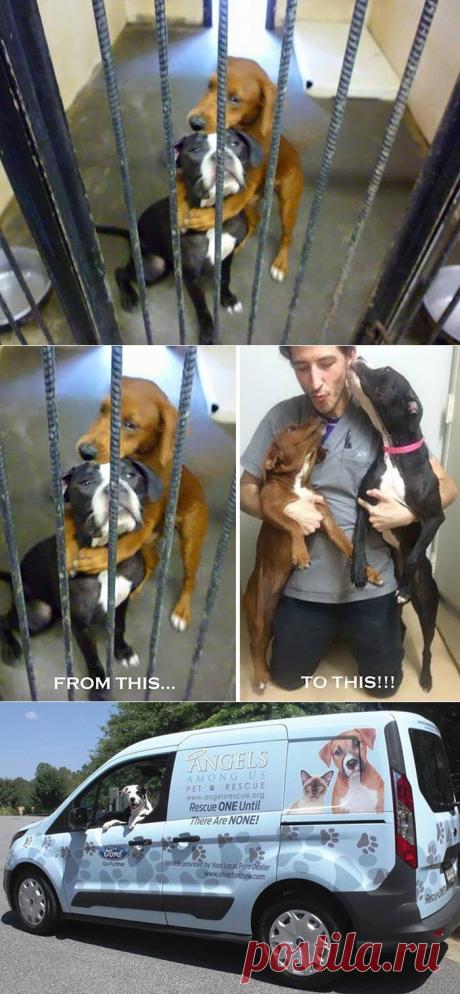 Объятия, спасшие от смерти