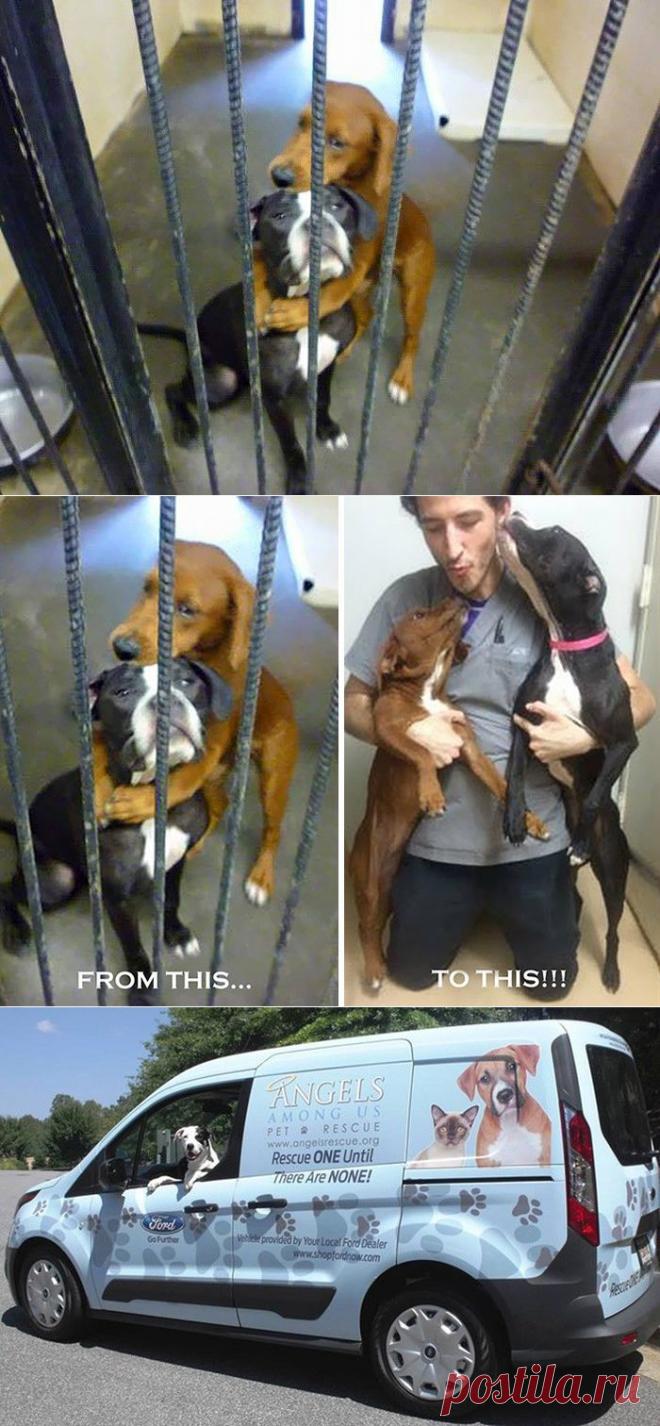 Объятия, спасшие от смерти