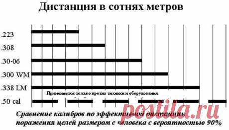Vibor_kalibra_dla_snapinga-1.jpg (550×313)