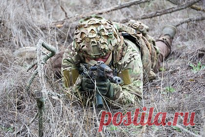 Стало известно о новых успехах ВС России в Харьковской области