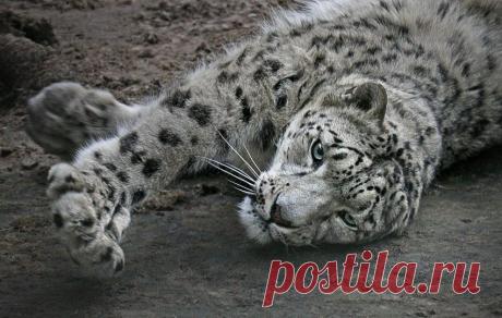 Фотографии на стене сообщества | 19 484 фотографии