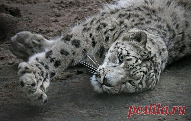 Фотографии на стене сообщества | 19 484 фотографии