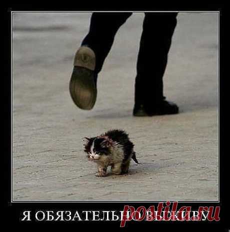 Интересные новости