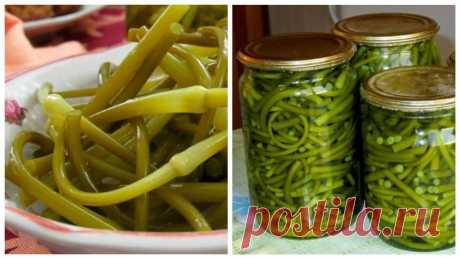 Маринованные чесночные стрелки: рецепт пикантной и необычной закуски на зиму!