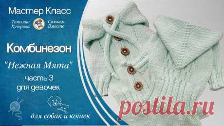 Шапочка Буратино для собак и кошек спицами, DIY beanie for dog and cat